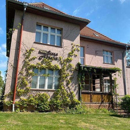 Villa Stara Apteka Srebrna Gora ภายนอก รูปภาพ