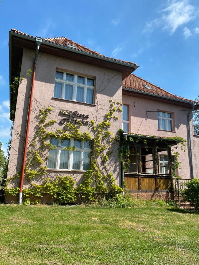 Villa Stara Apteka Srebrna Gora ภายนอก รูปภาพ